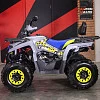 Снегоболотоход (квадроцикл) GLADIATOR (Mikilon) F200lux (серый) с ПСМ